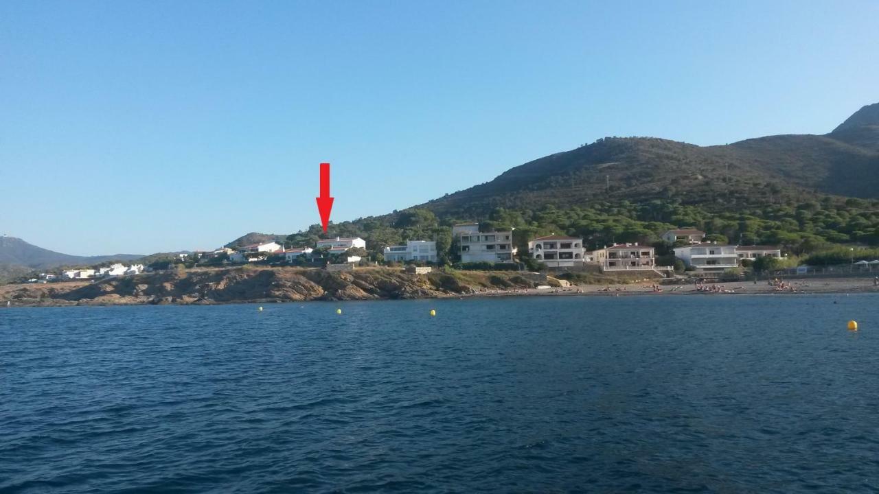 Estrella Del Mar *